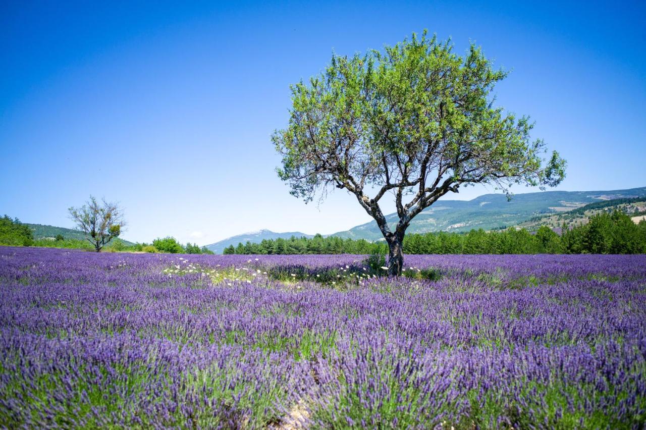 Le Claux Du Puits By Ateya Vacances Saint-Trinit Εξωτερικό φωτογραφία